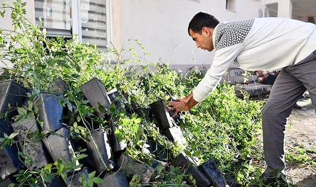 Samsun'da Büyükşehir'den tarıma dev yatırım: 21 milyon TL destek