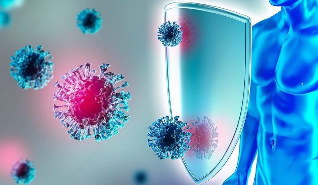 A VİTAMİNİ: BAĞIŞIKLIĞIN GÜÇLÜ SAVAŞÇISI