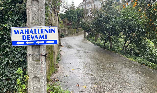 Karadeniz şakası gibi olay!