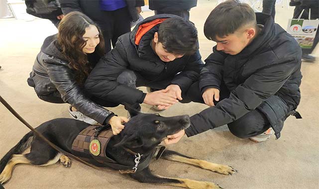 Samsun'da narkotik köpeği Bogar tanıtıldı