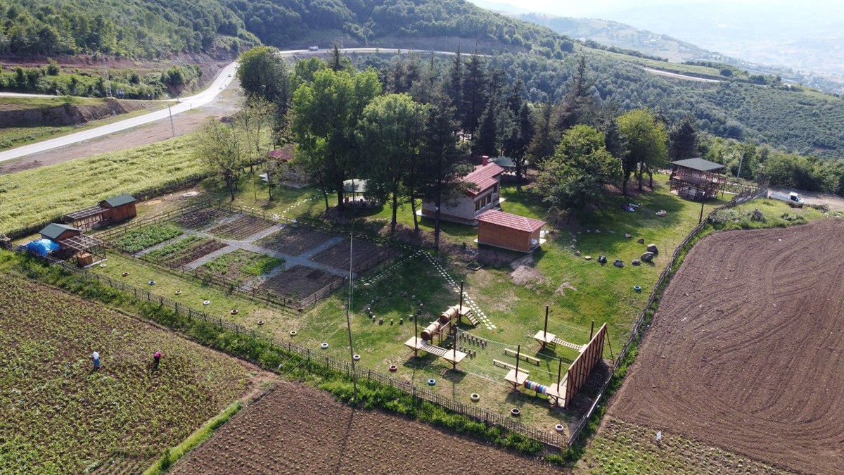 Canik Orman Okulu, çocuklara yeşil bir eğitim deneyimi sunuyor