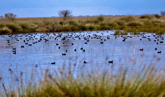 Kızılırmak Deltası'nın benzersiz güzellikleri