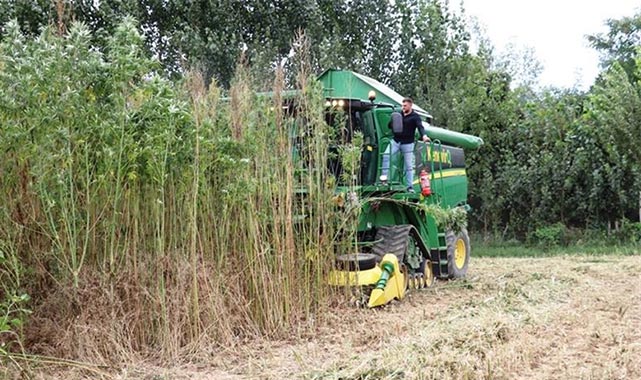 Prof. Dr. Aytaç: Kenevirli ürünlerin karbon ayak izi düşük