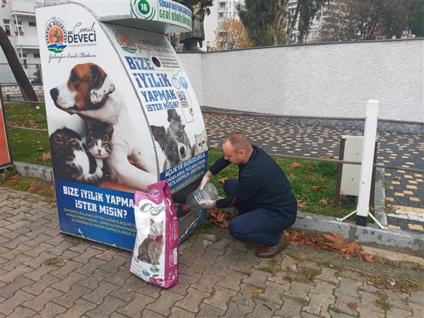 Atakum Belediyesi'nden patili dostlara destek