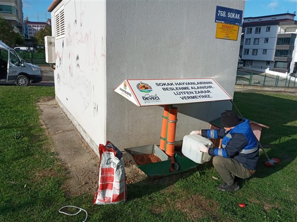 Atakum Belediyesi'nden patili dostlara destek