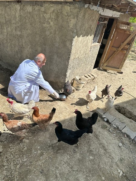 Atakum Belediyesi'nden patili dostlara destek