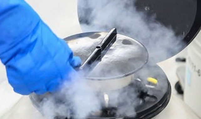 OMÜ Tüp Bebek Merkezi'nde ödeme zorlukları! IBAN kabul edilmiyor