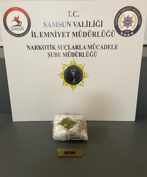 Samsun'da çok sayıda uyuşturucu madde ele geçirildi