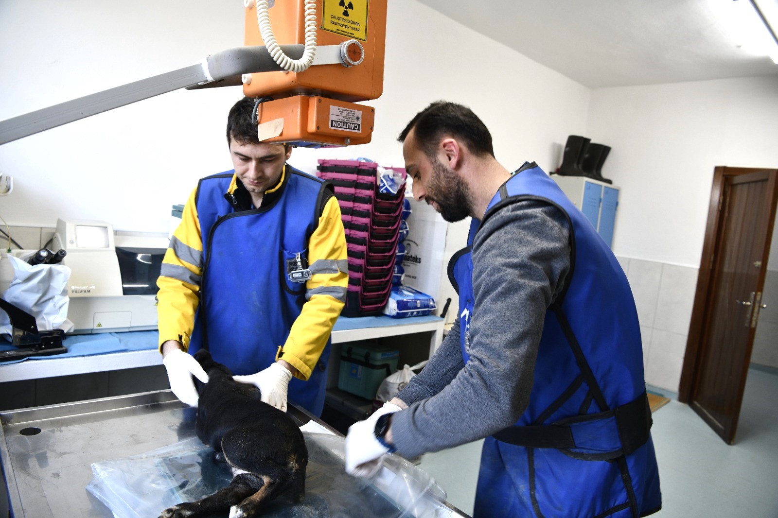 Samsun Büyükşehir, sokak hayvanlarının yanında