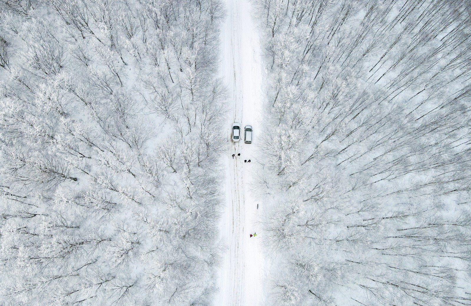 Samsun'un doğal cenneti: Kocadağ Yaylası