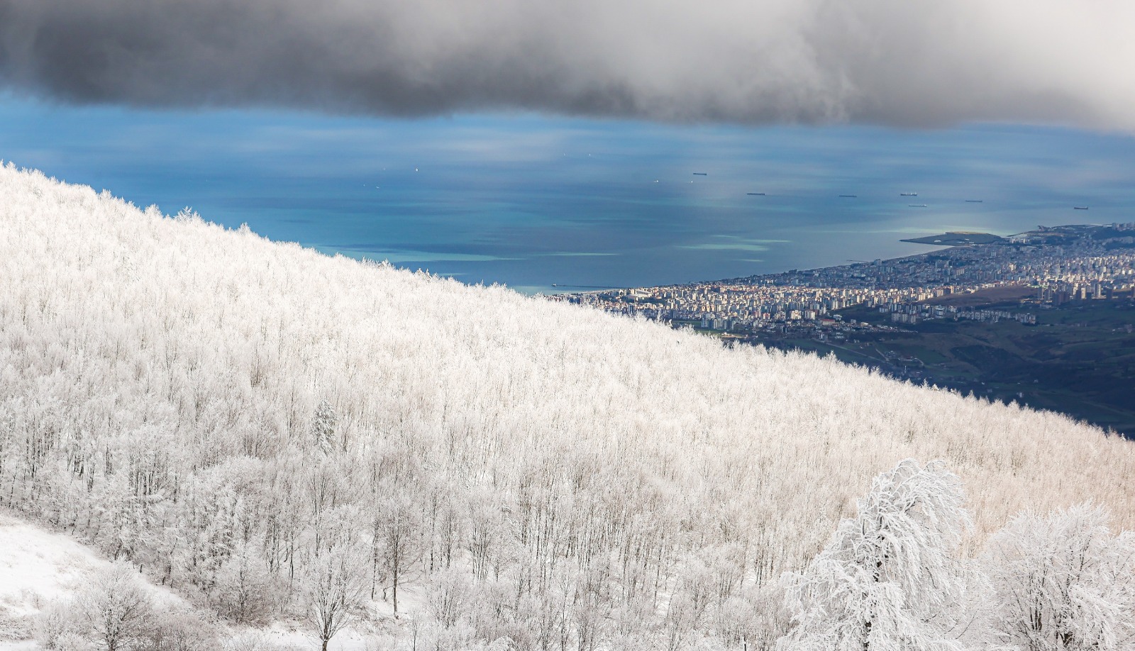 Samsun'un doğal cenneti: Kocadağ Yaylası