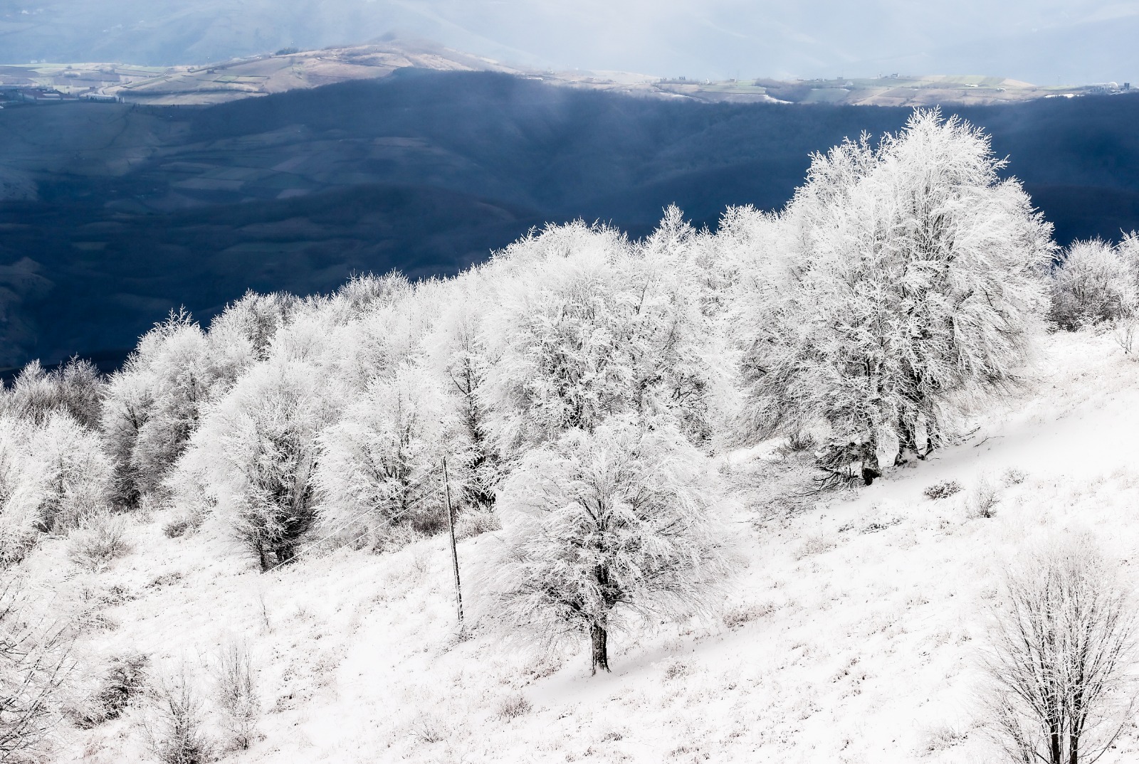 Samsun'un doğal cenneti: Kocadağ Yaylası