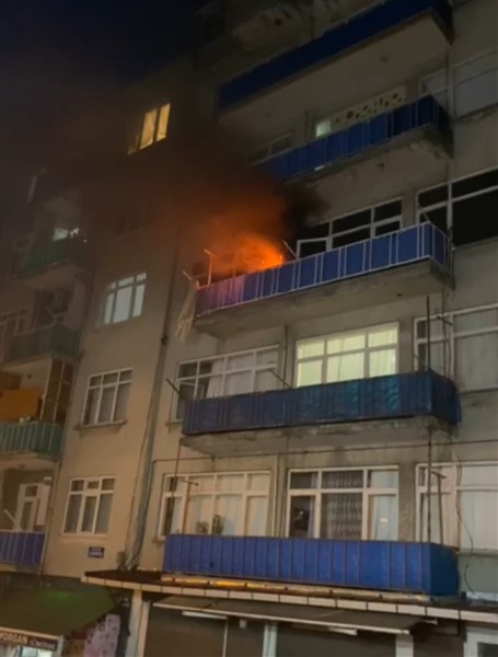 Yangında ölen kedi ve kuşları için ağladı