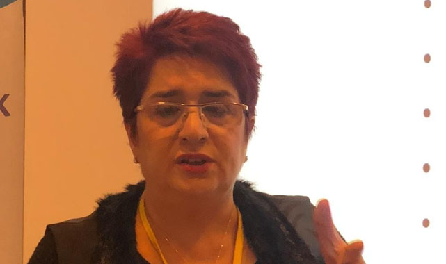 Leman Özay: Derebahçe Mahallesi santral için uygun alan değil