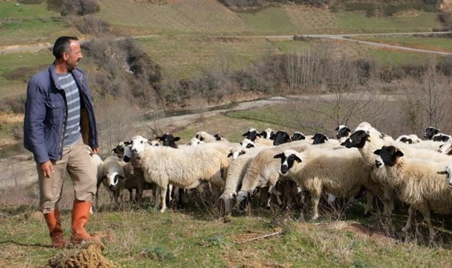 Samsun'da 'Sevgililer Günü'nün en anlamlı hediyesi çobandan