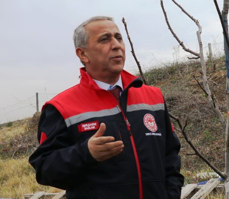 Samsun'da meyvecilikte dikkat edilecek hususlar