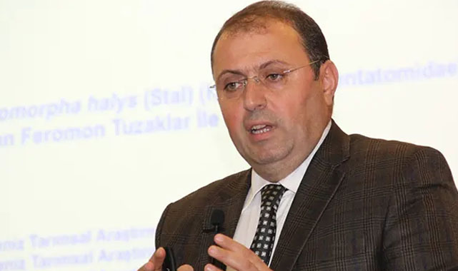 Karadeniz'de fındık üreticisinin kabusu geri dönüyor