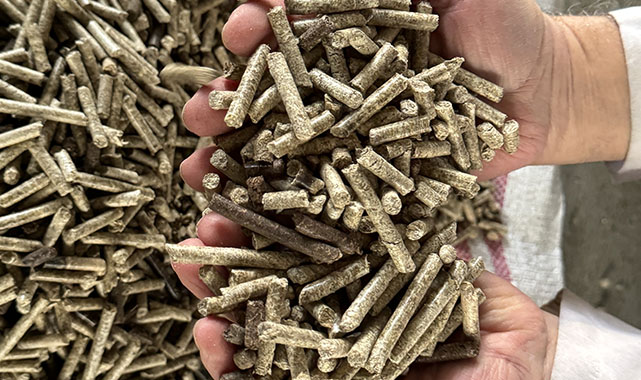 Samsun'da kenevir sapından yakıt üretildi