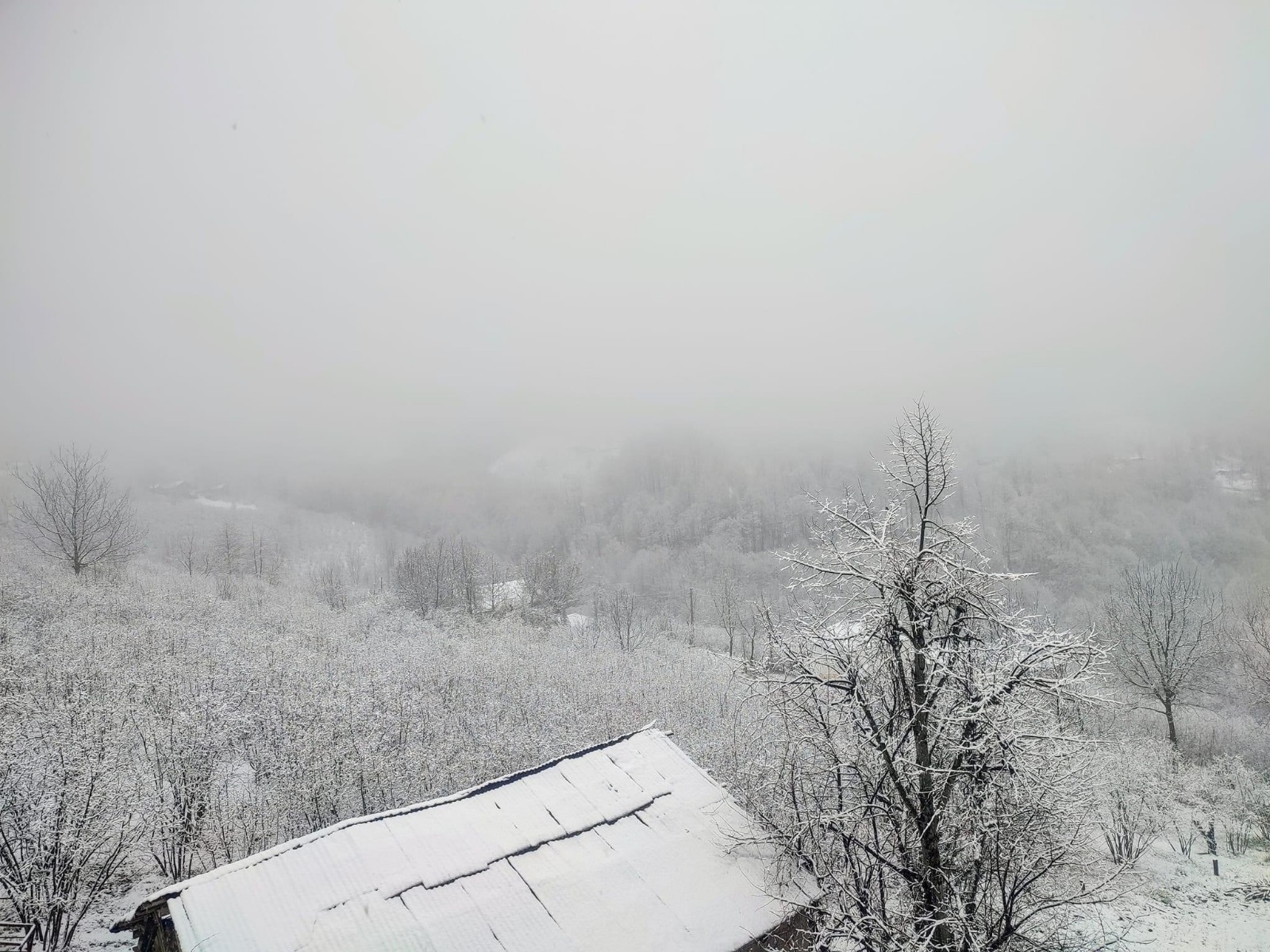 Samsun'da kar sürprizi