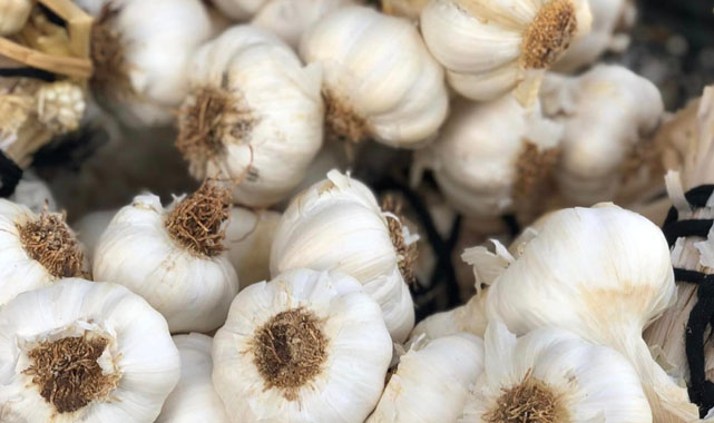 Samsun'da sarımsak fiyatı dudak uçuklatıyor!