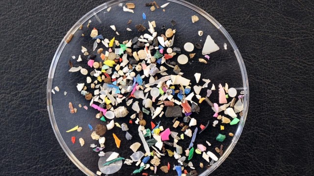 Bilim insanları beyinde mikroplastik buldu