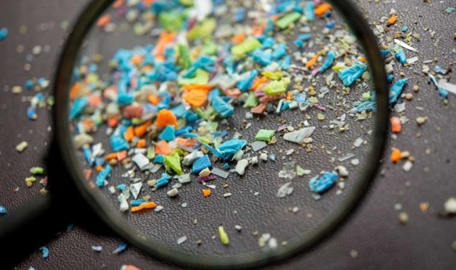 Bilim insanları beyinde mikroplastik buldu