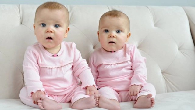Gizemi çözüldü! Tek yumurta ikizleri nasıl oluşuyor?