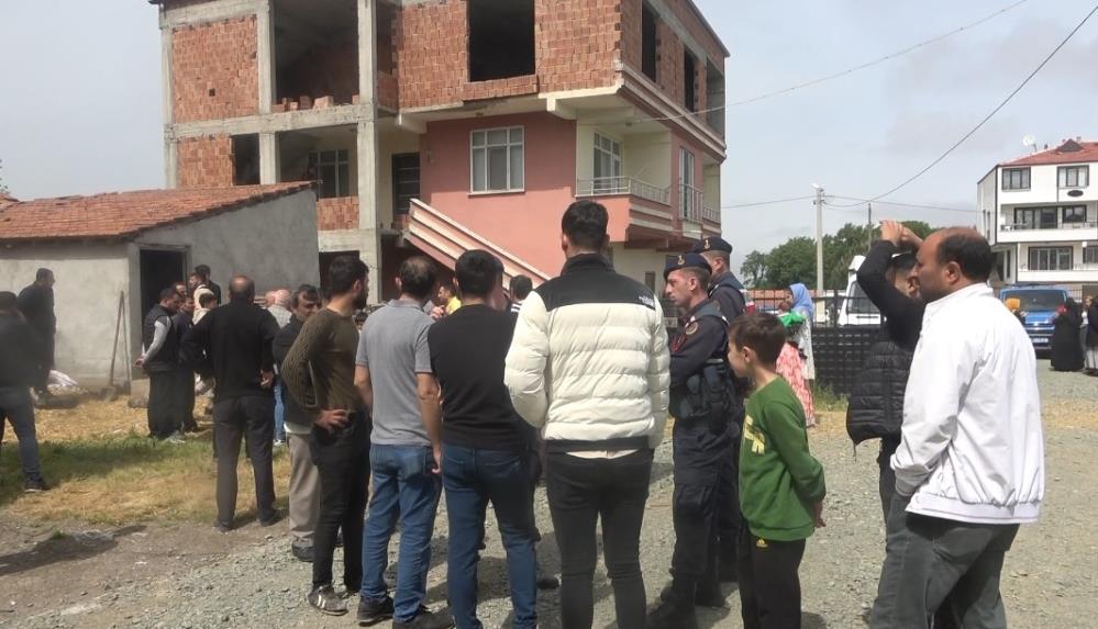 Samsun'da başıboş köpek dehşeti! Belediyeye dava açtılar