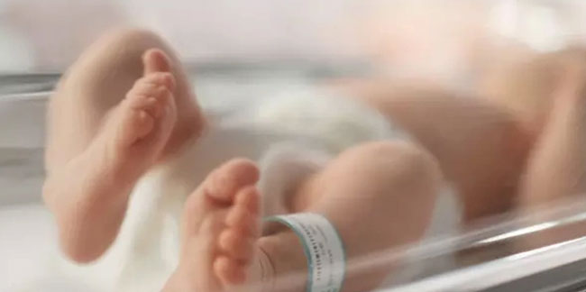 Yeni doğan bebekleri kullanıp SGK'yı soydular