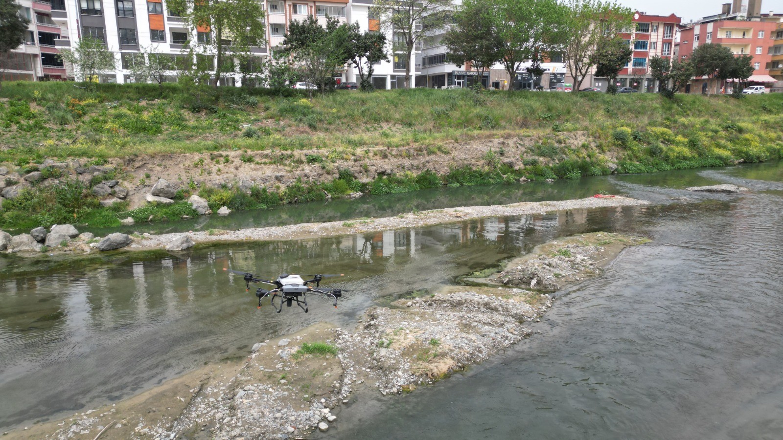Samsun Büyükşehir’den drone ile ilaçlama çalışması