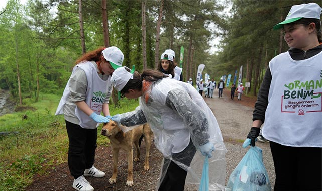 Samsun’da orman yangınlarına dikkat çekmek için çöp topladılar