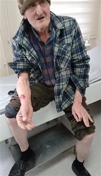 Samsun'da sokak köpekleri yaşlı adamı saldırdı