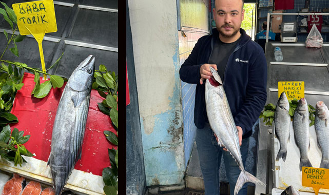 Samsun'da tezgahları baba torik süslüyor