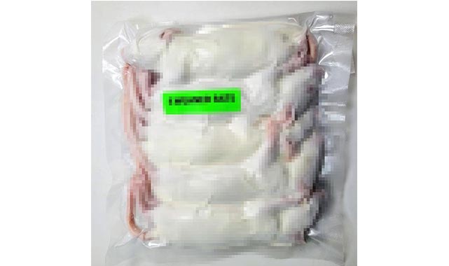 Evinde 2 kraliyet pitonu ele geçirildi