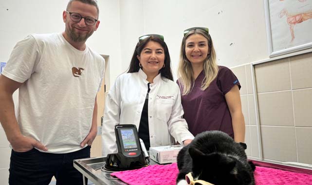 OMÜ Hayvan Hastanesi, düşük doz lazer tedavisine başladı