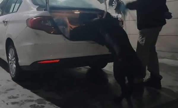 Samsun polisi, uyuşturucu tacirlerine göz açtırmıyor