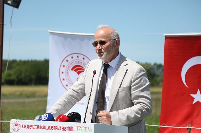 Samsun'da yapay meralarda beslenen kuzuların verimleri arttı