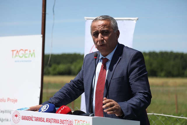 Samsun'da yapay meralarda beslenen kuzuların verimleri arttı