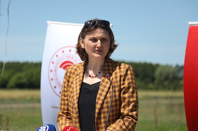 Samsun'da yapay meralarda beslenen kuzuların verimleri arttı