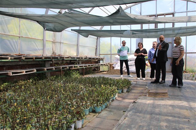 Atakum Belediyesi sera alanında üretim kapasitesi artıyor