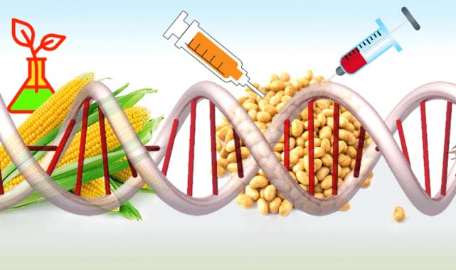Kısırlık arttı! İşte kısırlığa neden olan 5 tehlikeli beslenme alışkanlığı