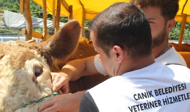 Canik’te kurban pazarı açıldı