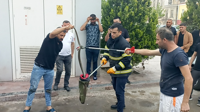 Bafra'da araç motoruna giren yılan çıkarıldı