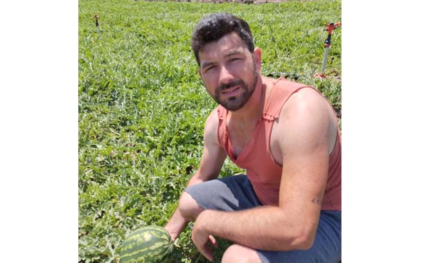 Samsun bu sene karpuz ve kavuna doyacak