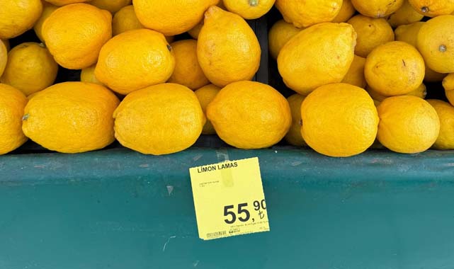 Samsun'da limon vurgunu: Bahçede çürümeye terk edilen limonun fiyatı 55 TL'ye uçtu!