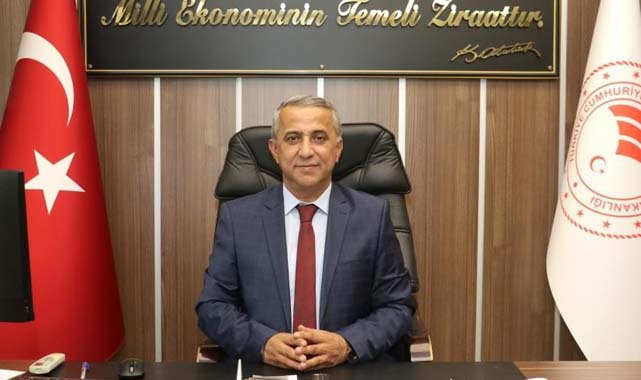 Samsun'da Amerikan beyaz kelebeği ile mücadele