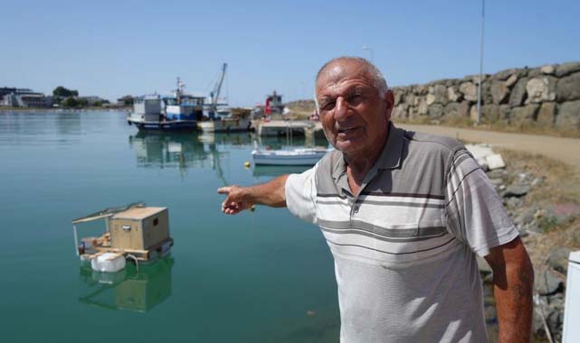 Samsun'da ördekleri için denize yüzen kümes yaptılar