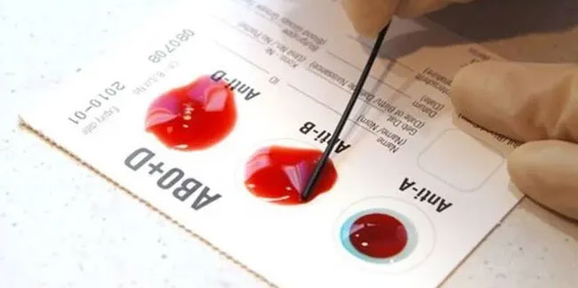 Kan gruplarının kişilik üzerindeki etkisi ortaya çıktı