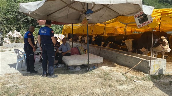 İlkadım Belediye zabıtası kurban denetimlerini arttırdı