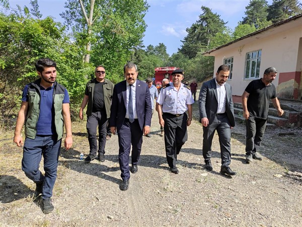 Vezirköprü'de orman yangın korkuttu